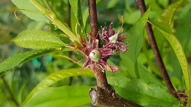 20201021_125638 second_resized.jpg