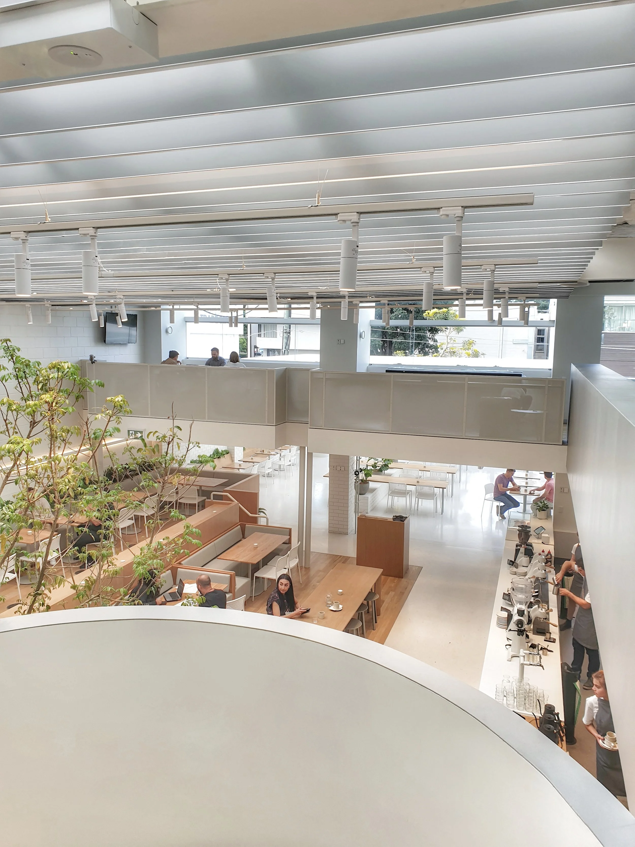 Industry Beans Newstead Brisbane. Image by Discover Brisbane