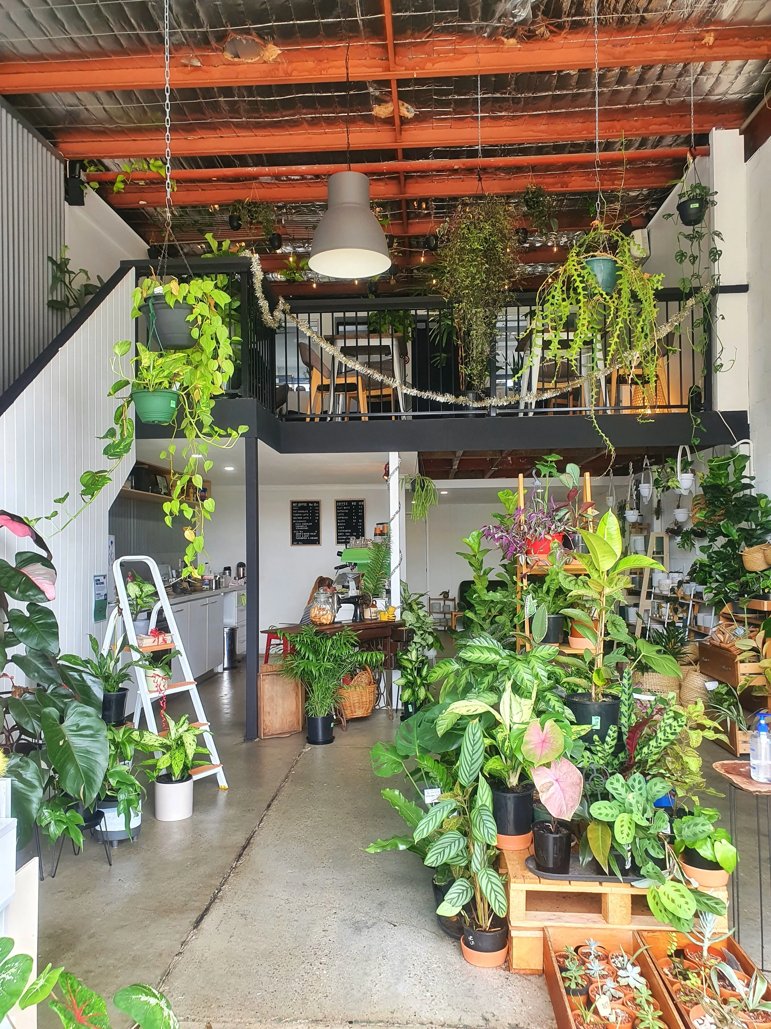 Epilo, the plant and coffee shop you never knew you needed