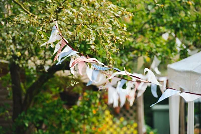 Bunting Blowing In A Playful Breeze_opt.jpg