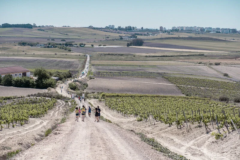 El Sherry Maratón se prepara para correr entre viñas