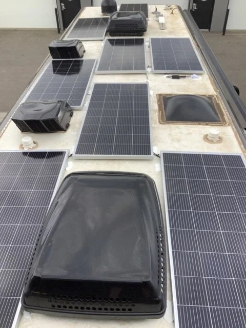 IMG_3735 Medium.jpeg