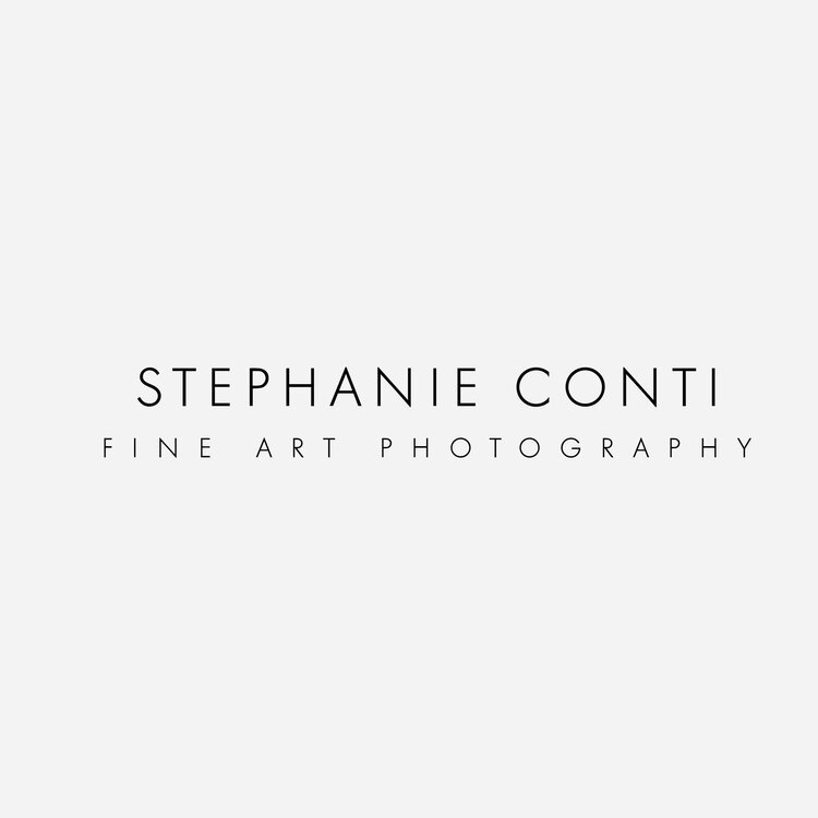 Stephanie Conti Fine Art