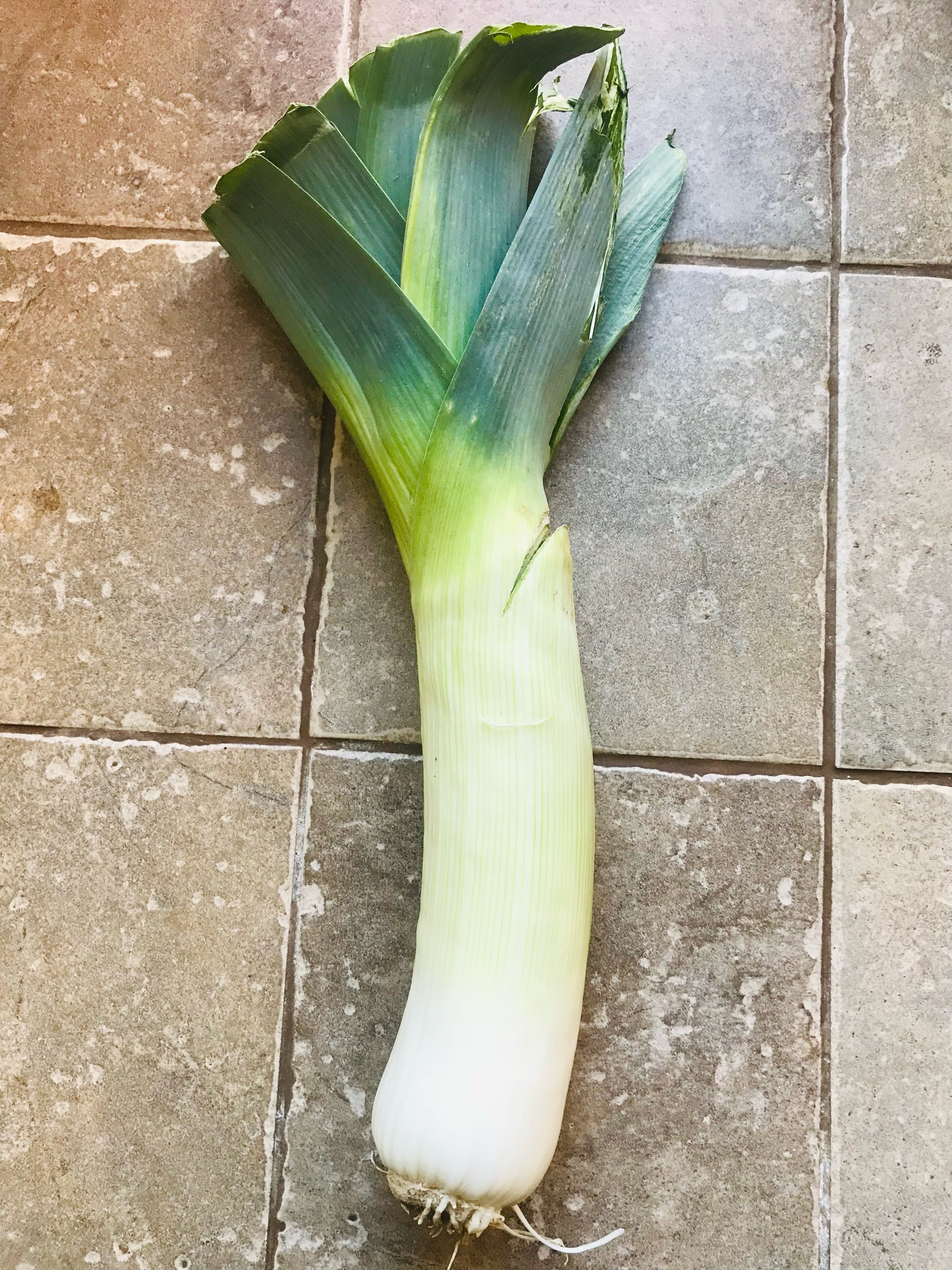 The aftermath, and leek delight