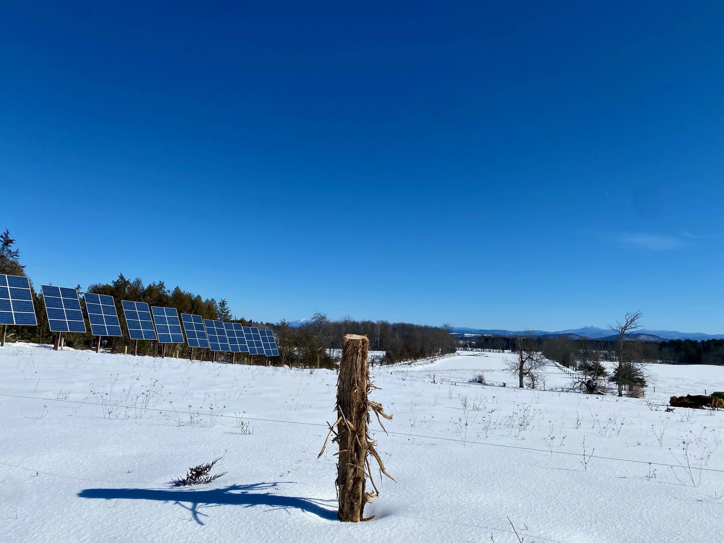 Bright Snow