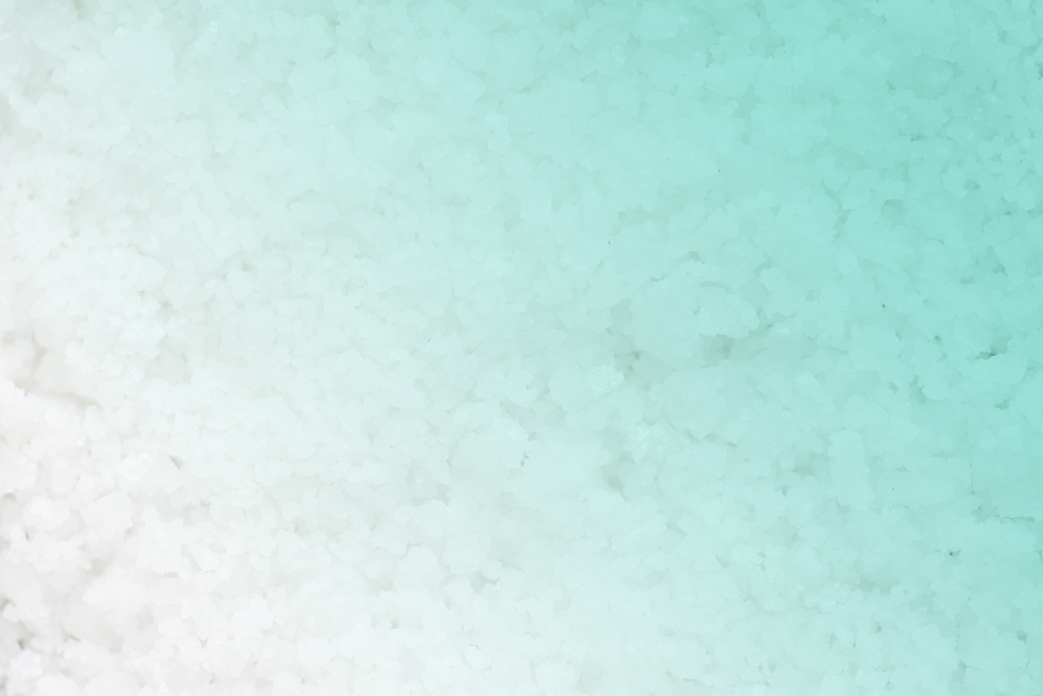 salt-banner-3.jpg