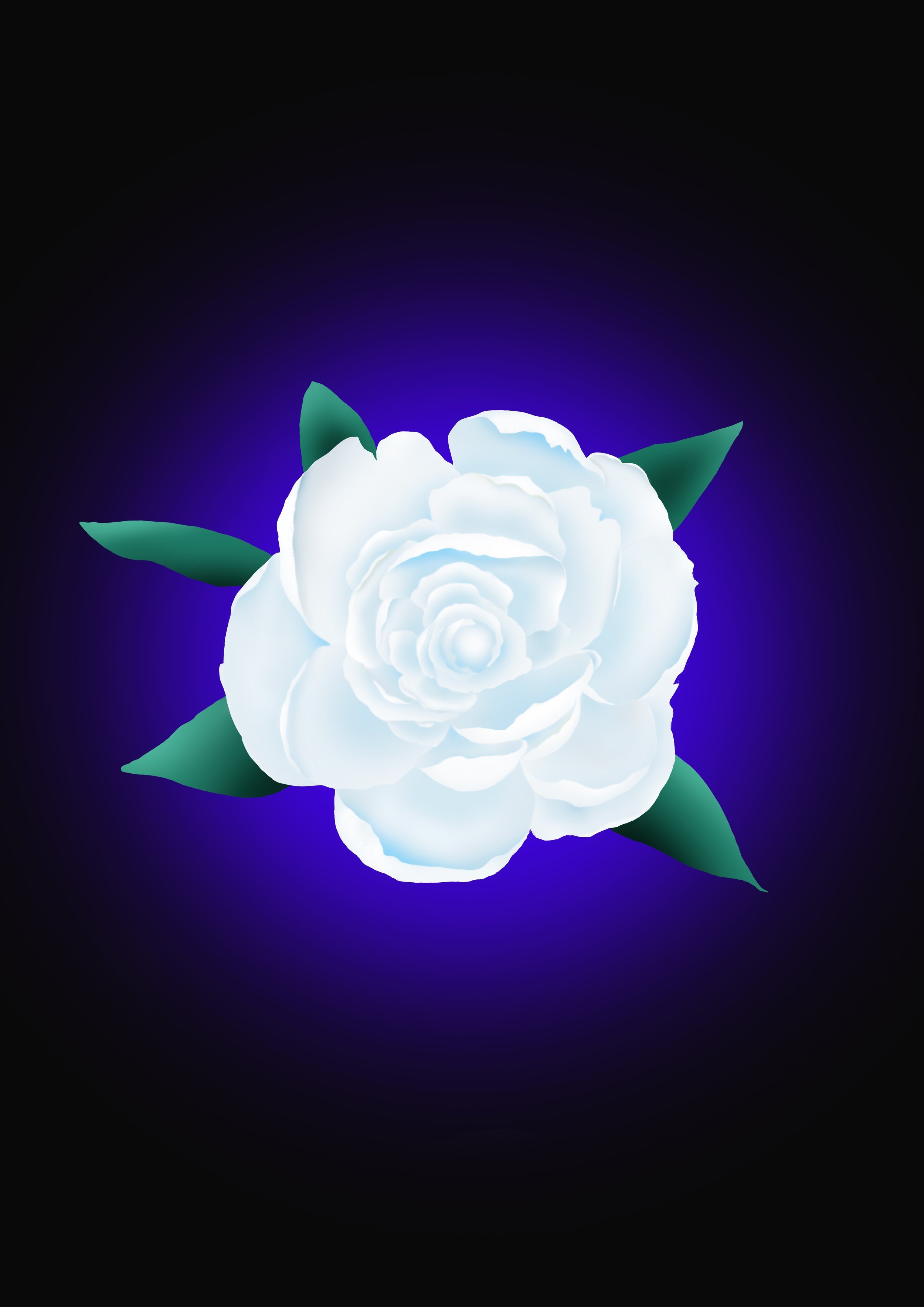 Bluish white flower