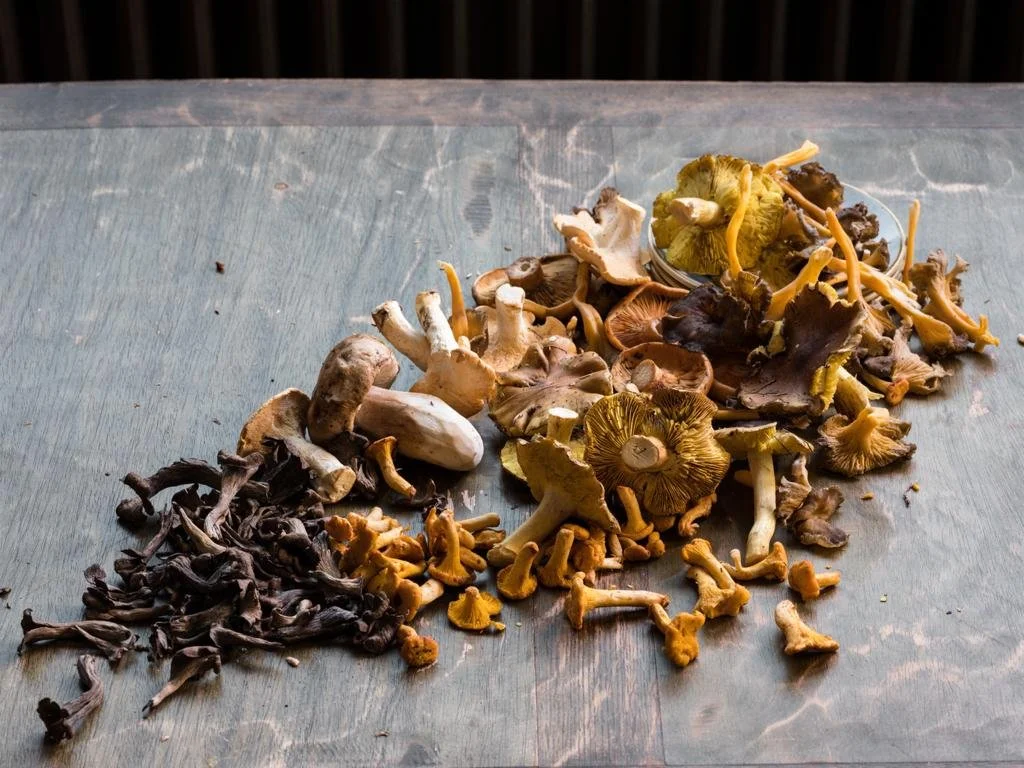 WhatsApp Image 2022-08-16 at 4.45.24 PM.jpeg