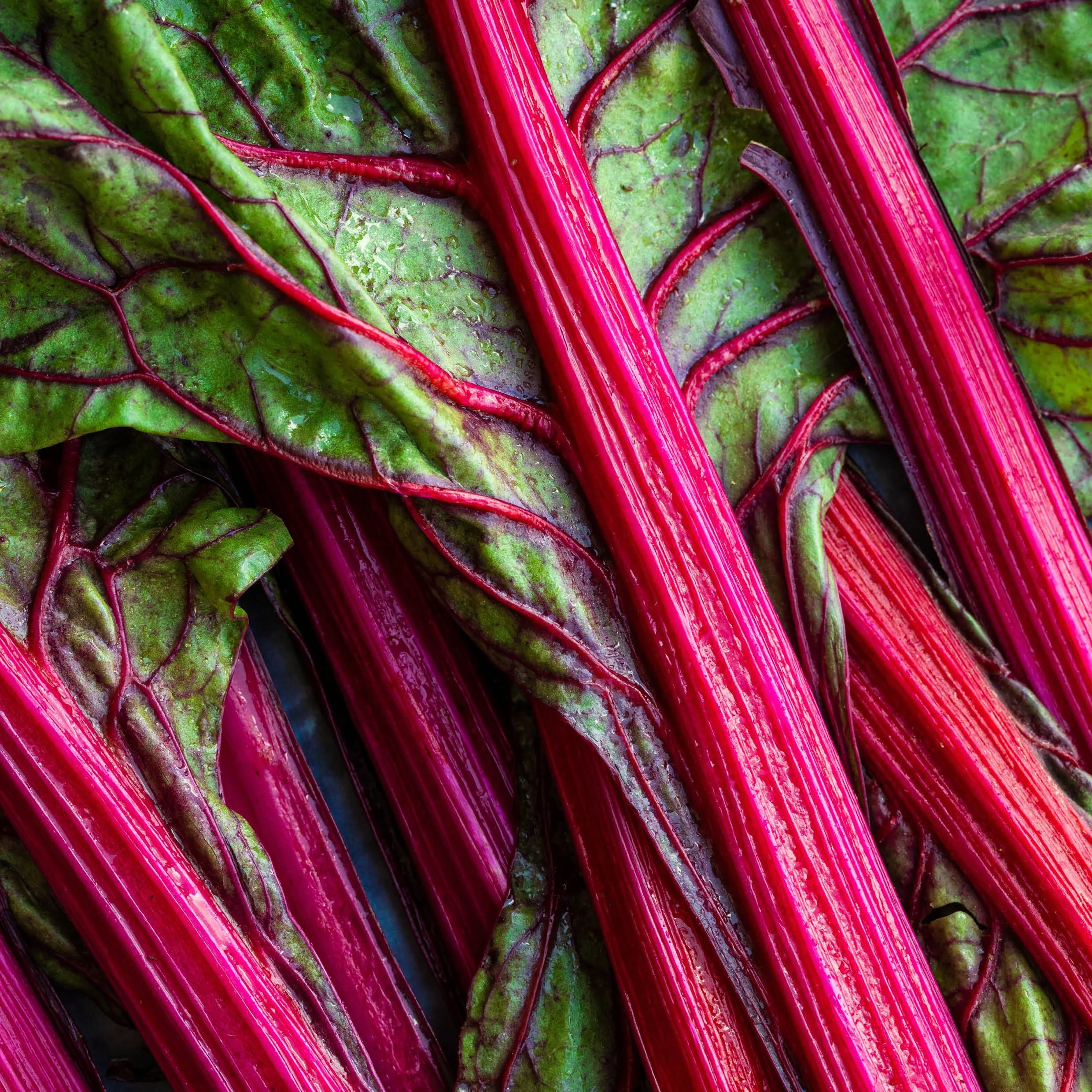Best In Season - May - written by Chef Consultant, Celia Brooks