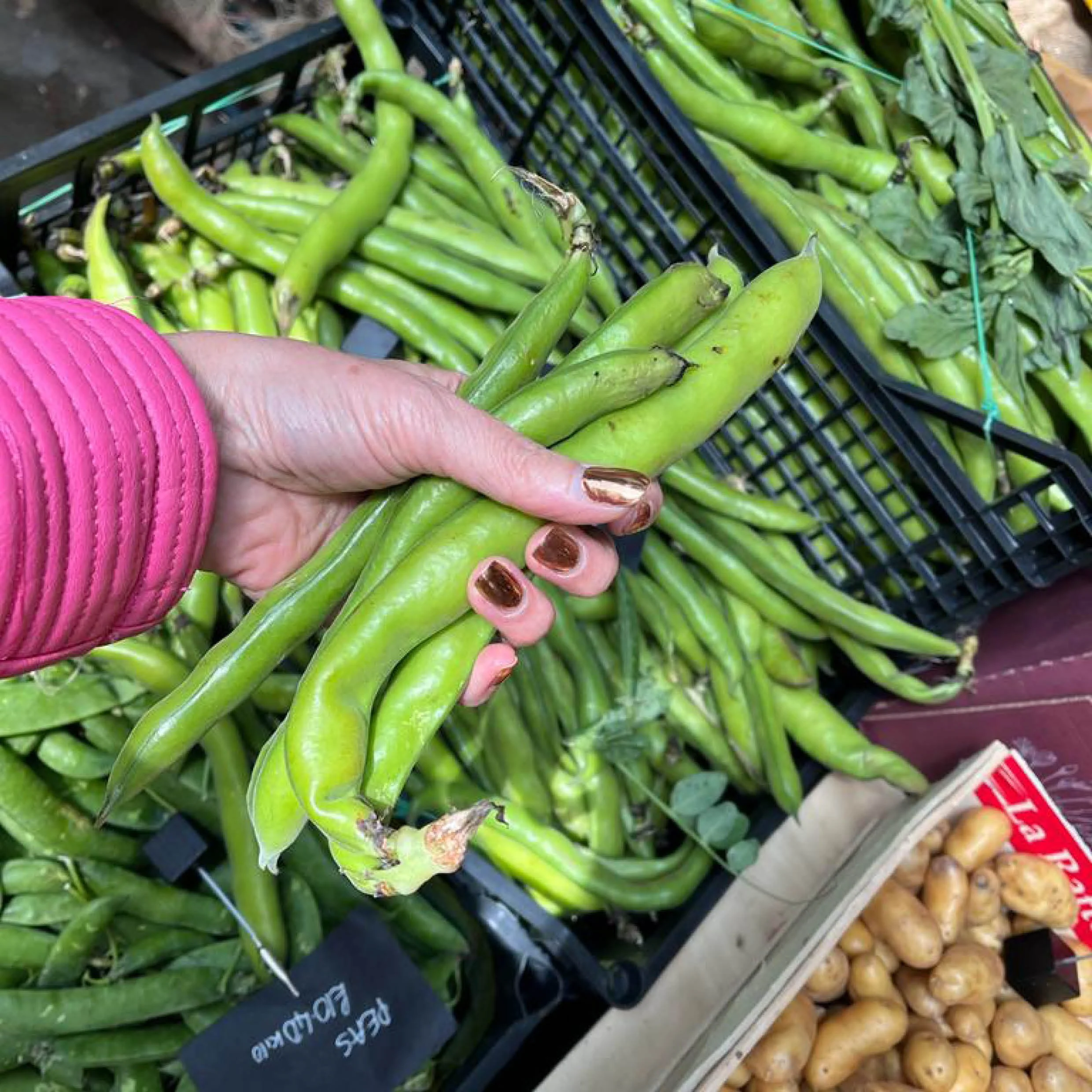 Best In Season - June - written by Chef Consultant, Celia Brooks 
