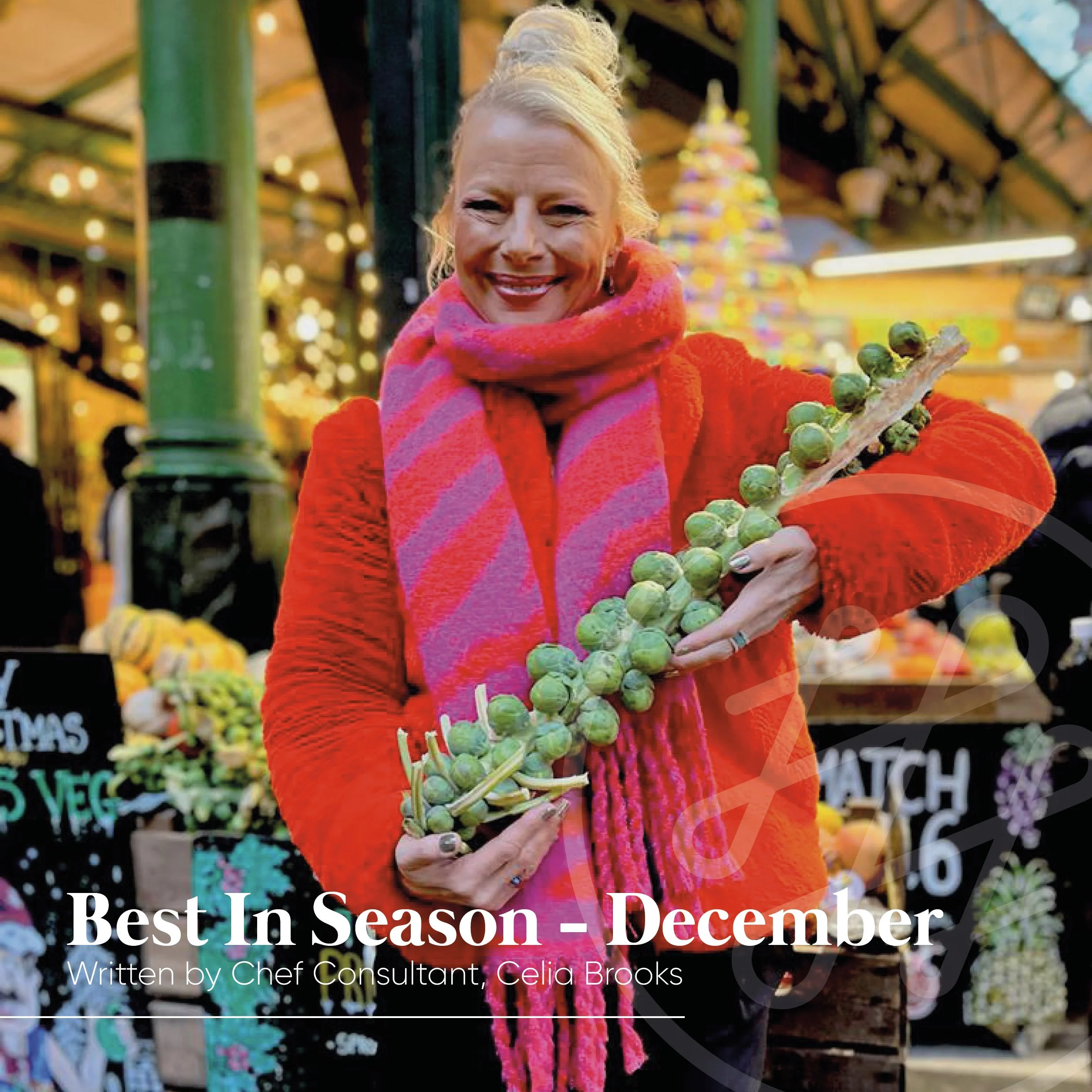 Best In Season - December - written by Chef Consultant, Celia Brooks 
