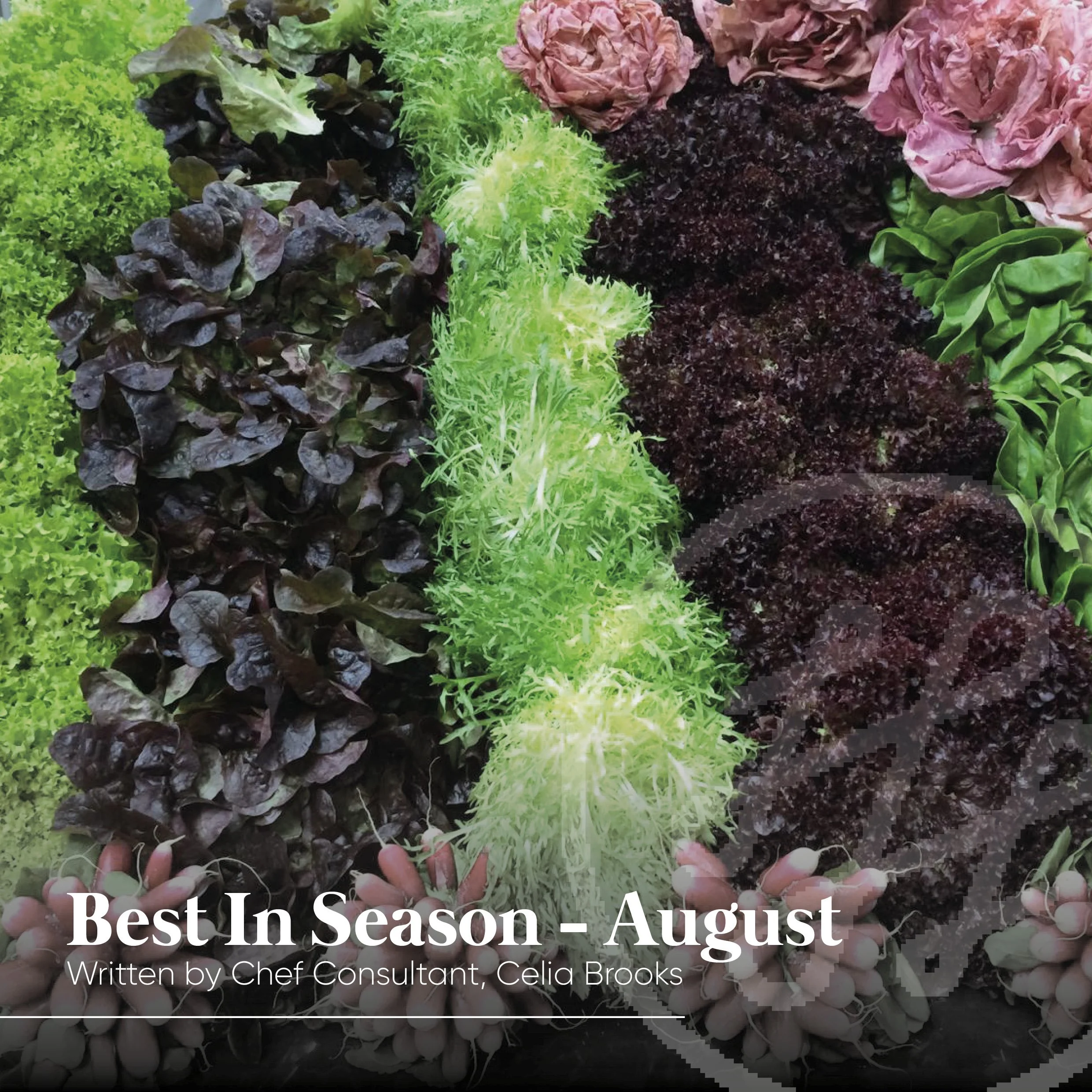 Best In Season - August- written by Chef Consultant, Celia Brooks