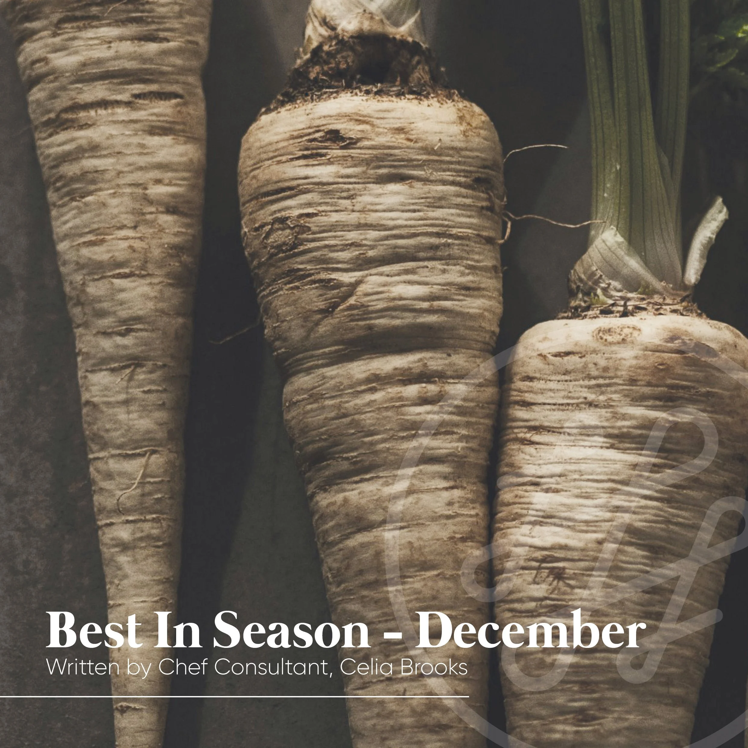Best In Season - December - written by Chef Consultant, Celia Brooks