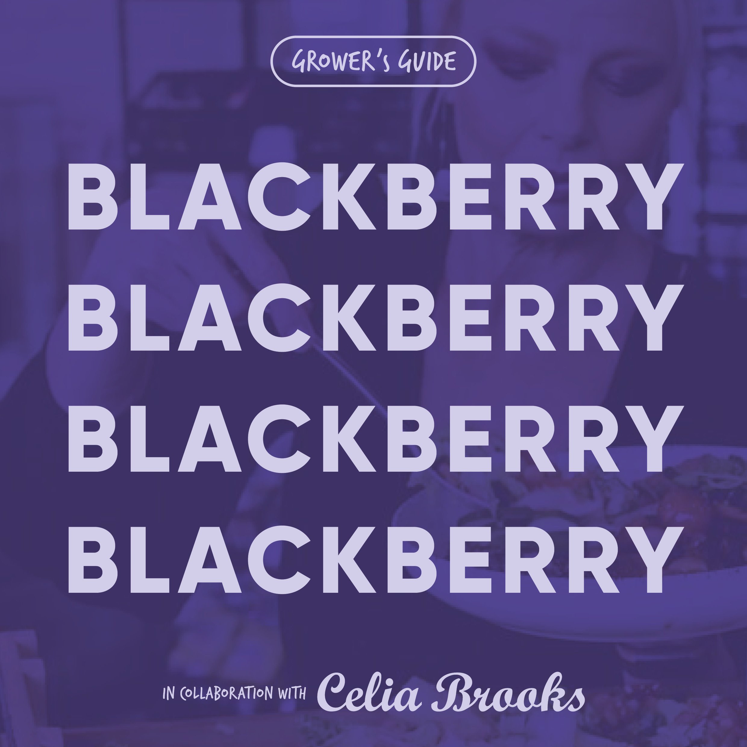 Grower's Guide - October - written by Chef Consultant, Celia Brooks