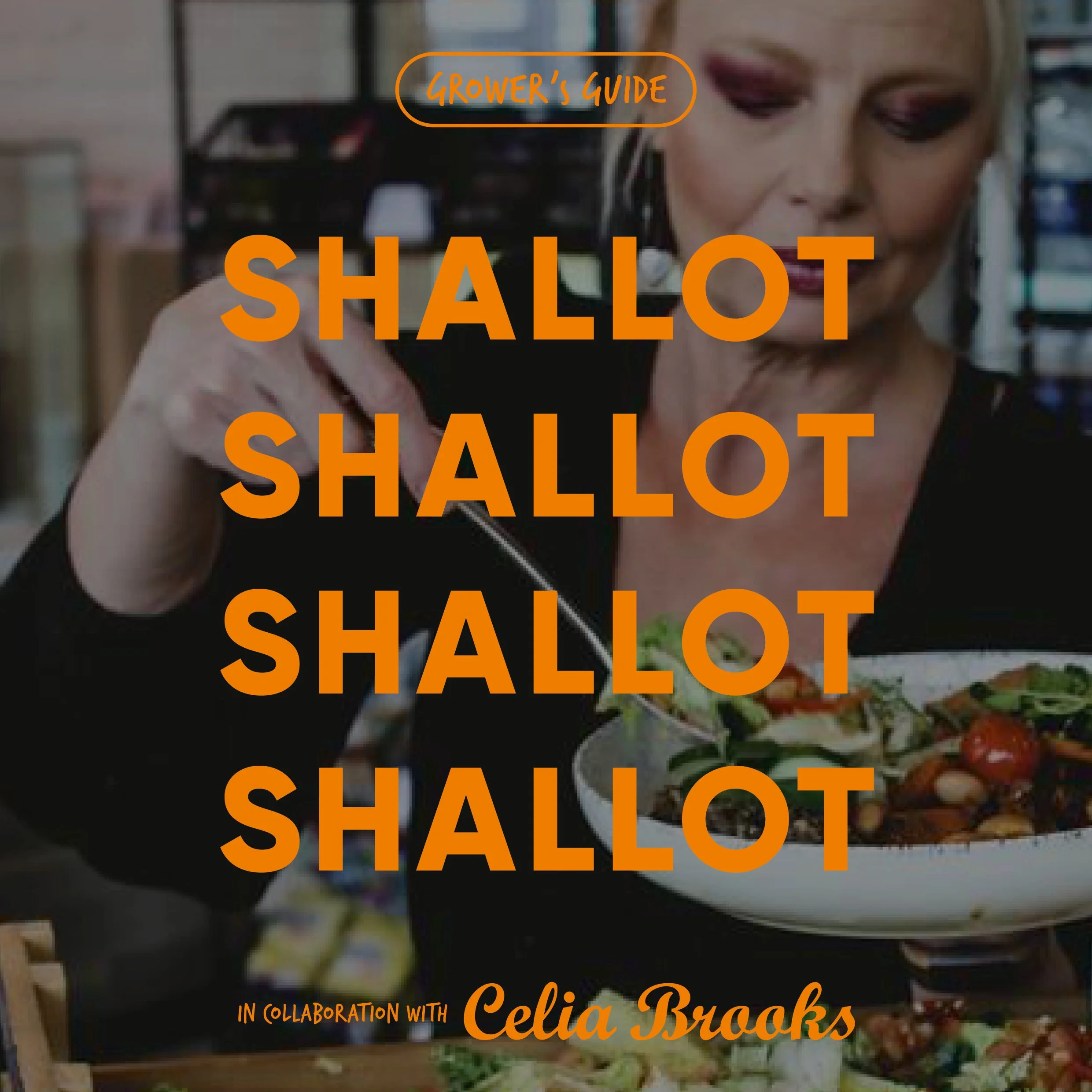 Grower's Guide - November - written by Chef Consultant, Celia Brooks