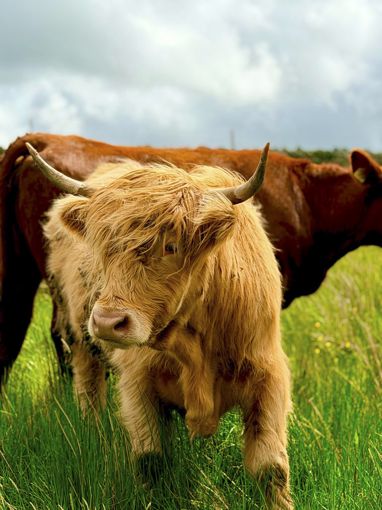 Lake District Farmers x Houston &amp; Hawkes