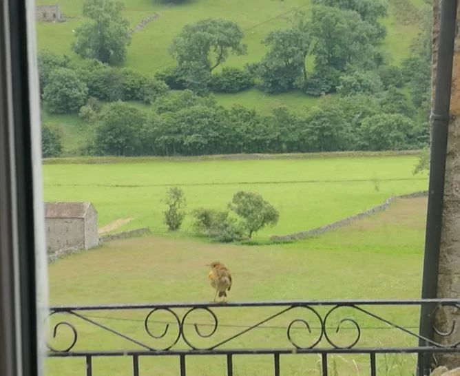 Top ten unusual things to look out for in Swaledale