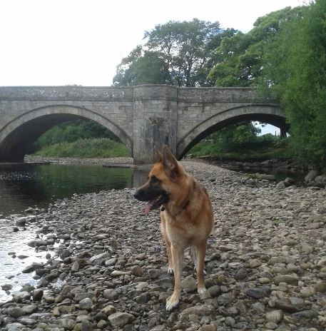 Floods in Reeth, Grinton and Leyburn