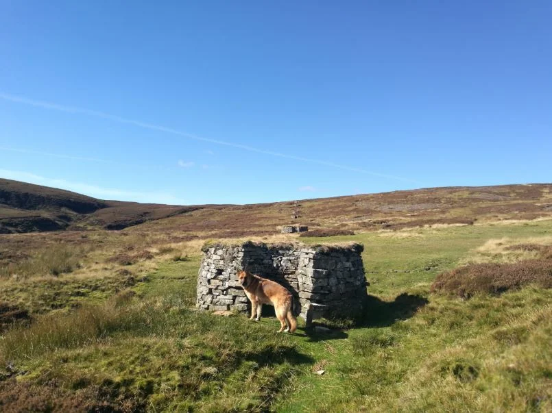 THINGS TO DO IN SWALEDALE IN SEPTEMBER