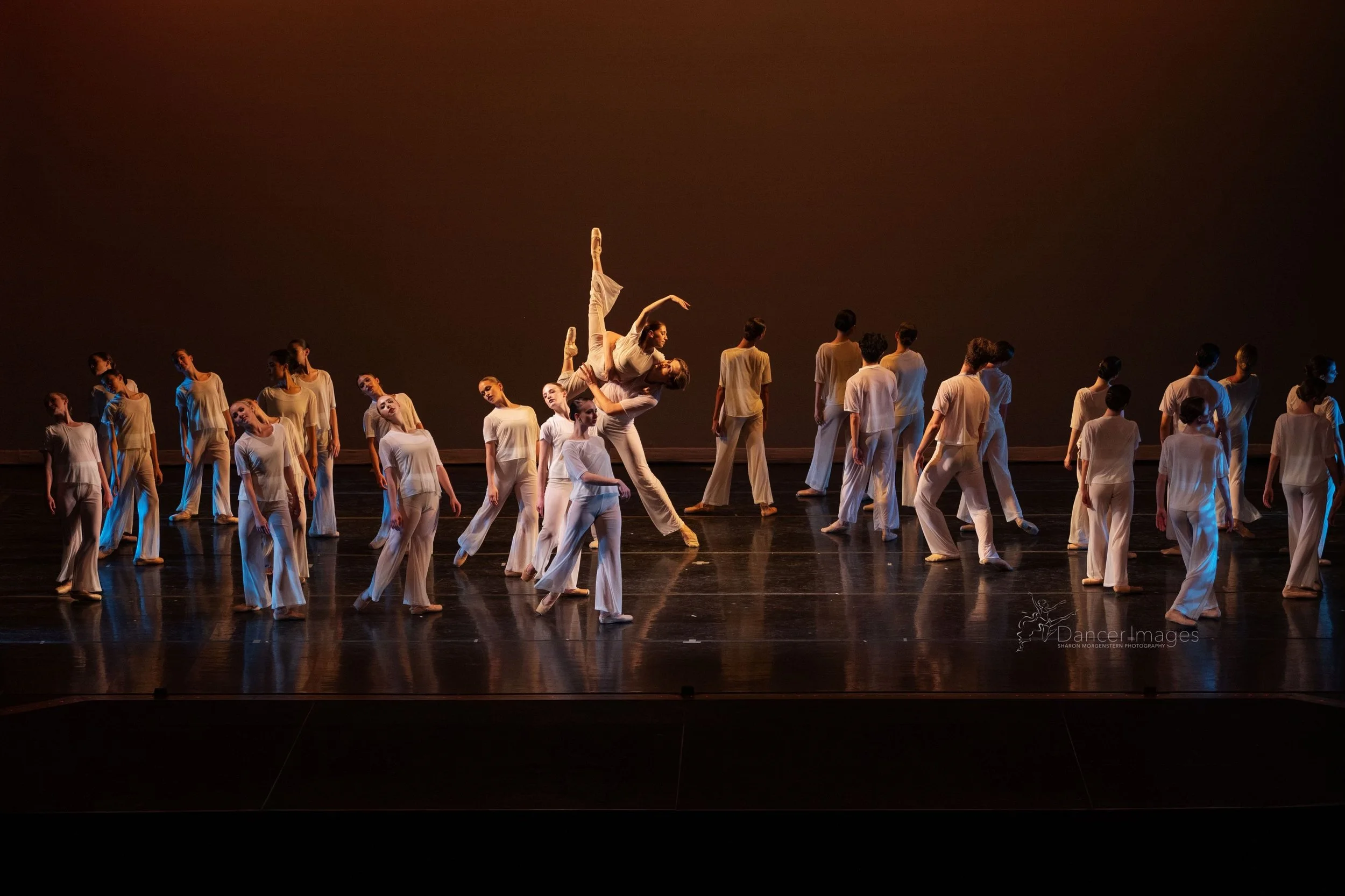 Give the Gift of Dance This Holiday Season!