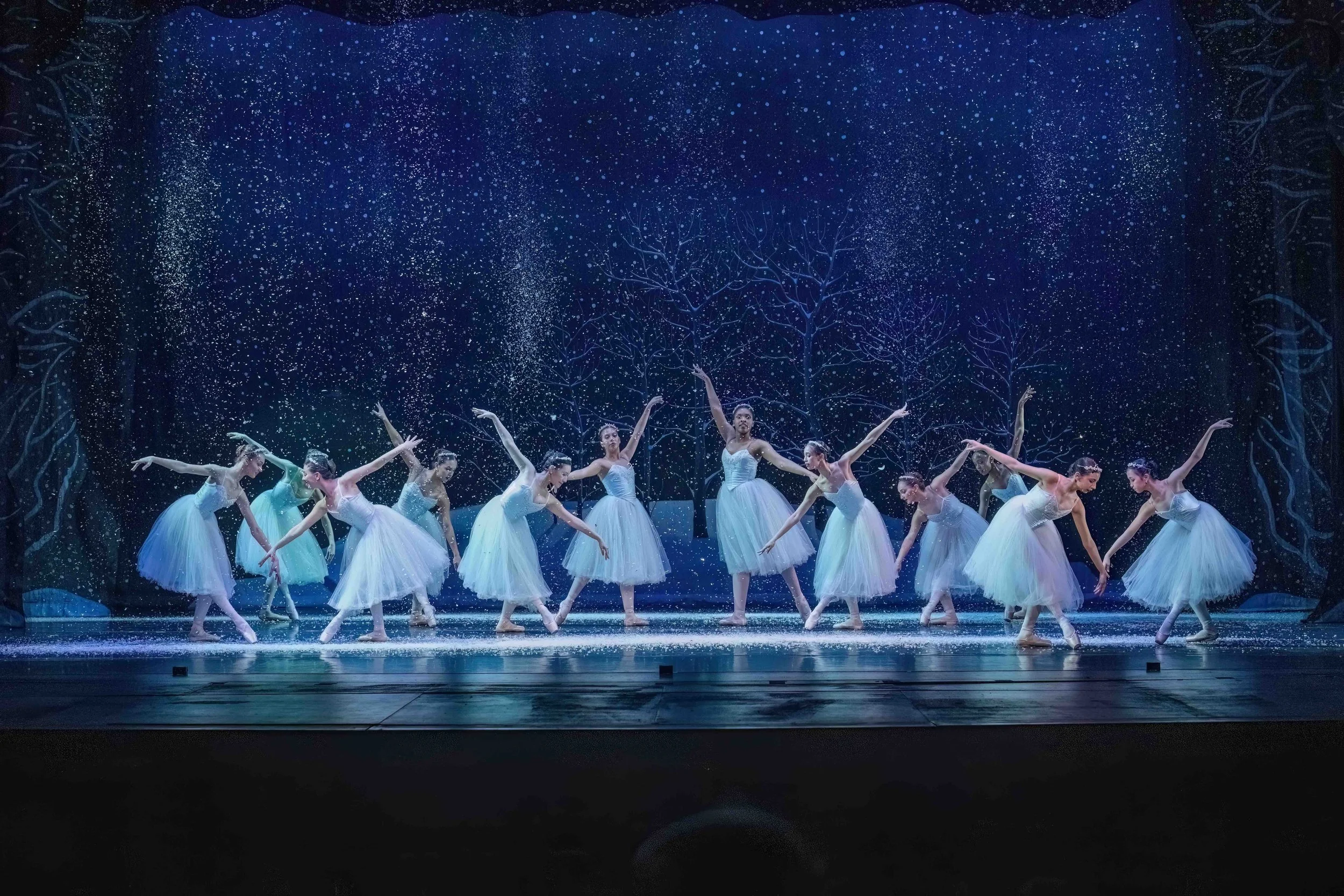 Photo by Sharon Morgenstern.