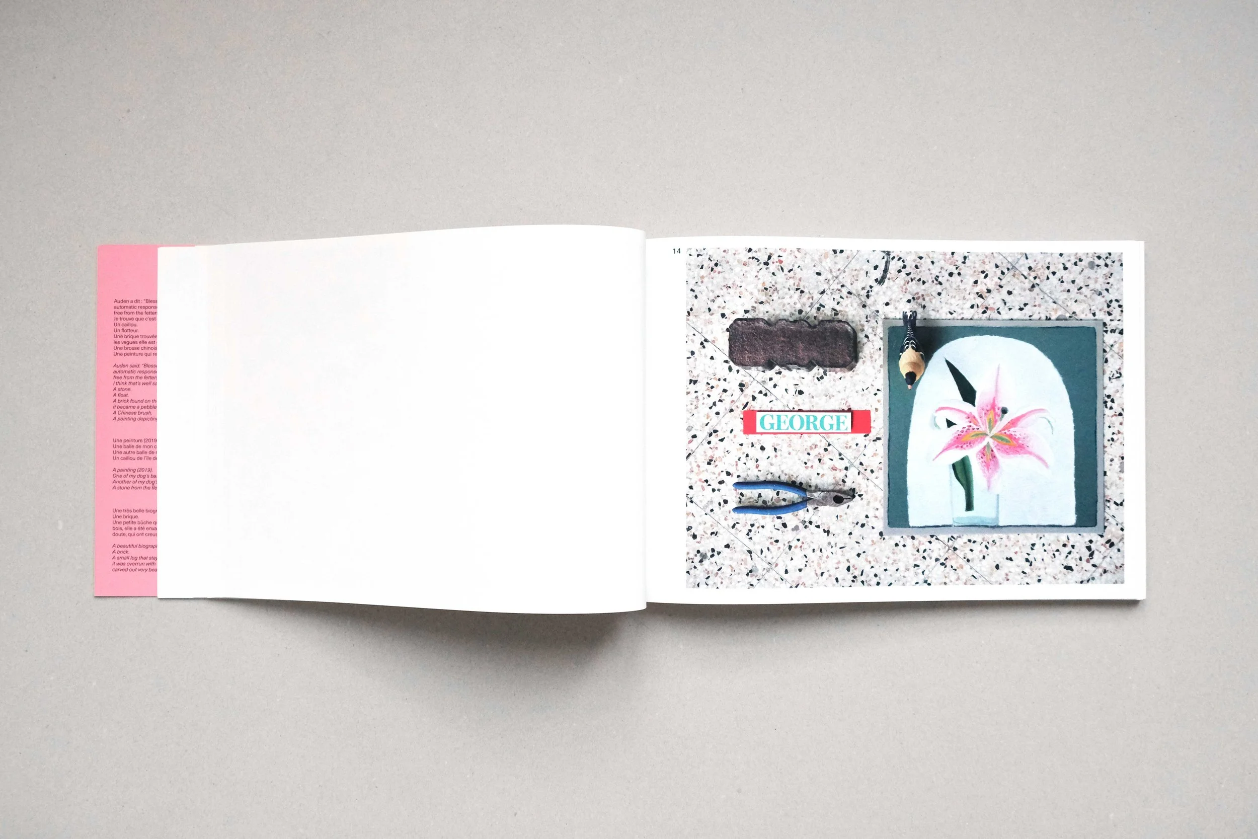 Nathalie Du Pasquier book