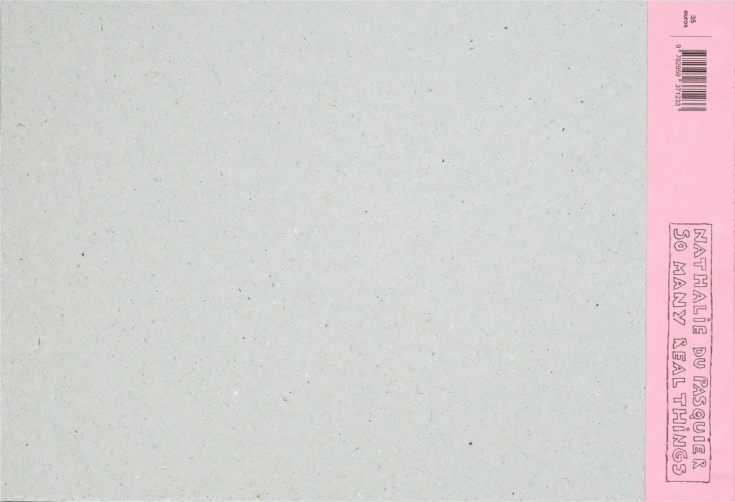 Back cover of a book titled "Nathalie du Pasquier,  So Many Real Things" published by The Light Observer