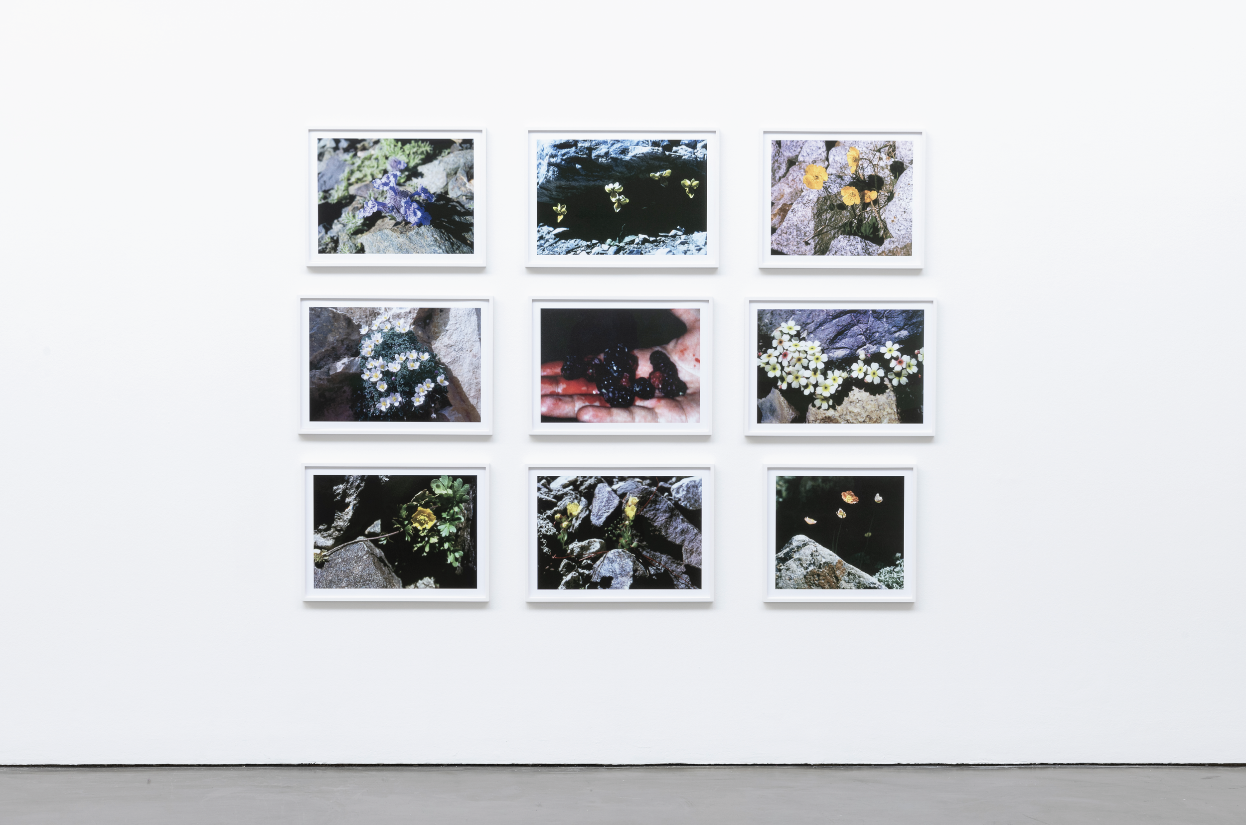 Peter Piller article on The Light Observer magazine 08