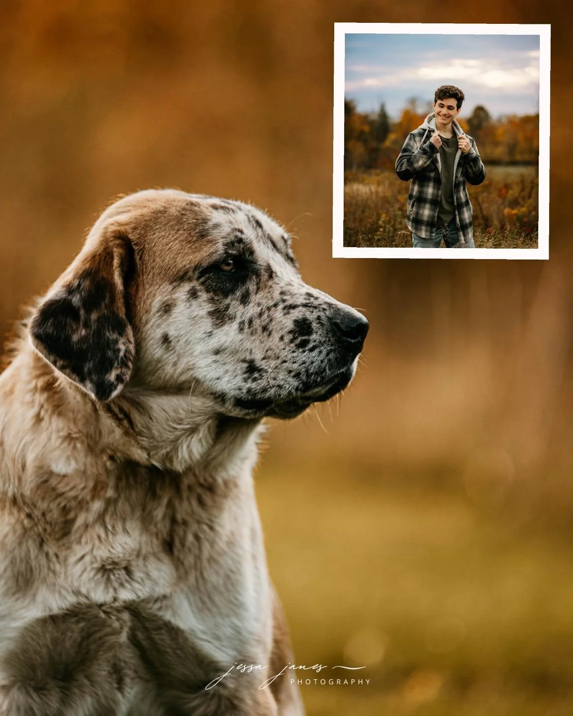 It feels like the leaves changed overnight and we suddenly have reds and yellows popping up in the landscape. 

Due to some changes in my schedule, I have more openings for outdoor photos in the next couple weeks and the weather looks like it&rsquo;l