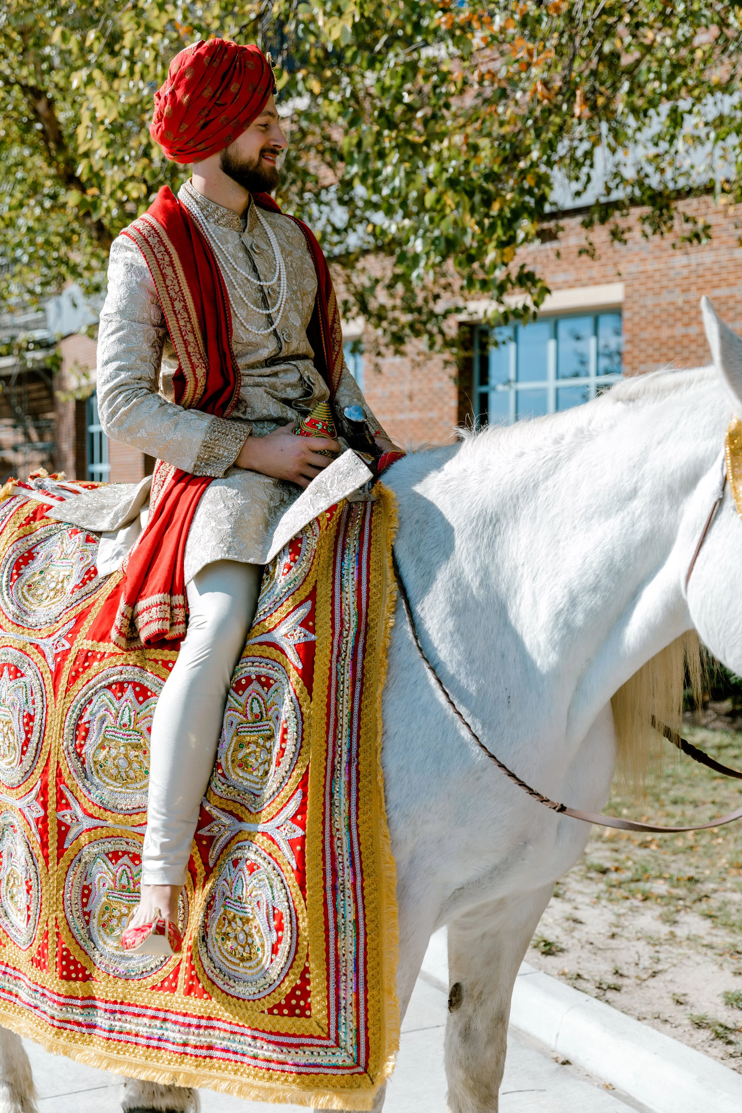  Groom on Baraat horse 