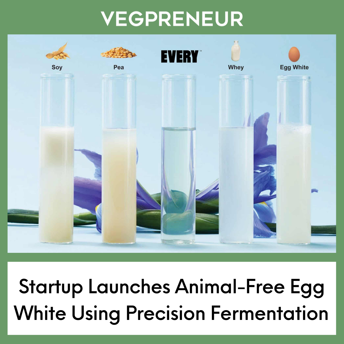 Meet The World’s First Egg White Made Without a Chicken