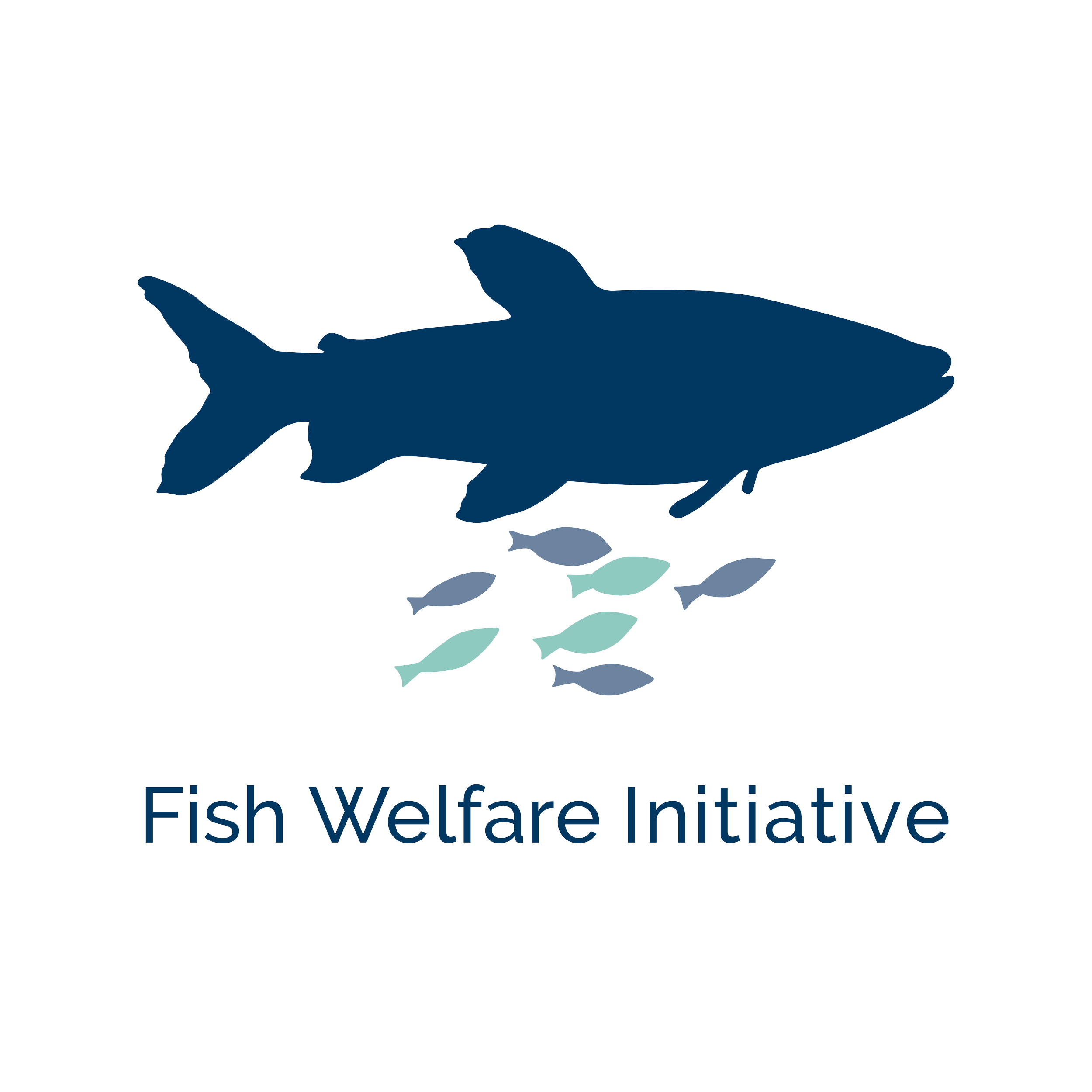 Field Manager at Fish Welfare Initiative