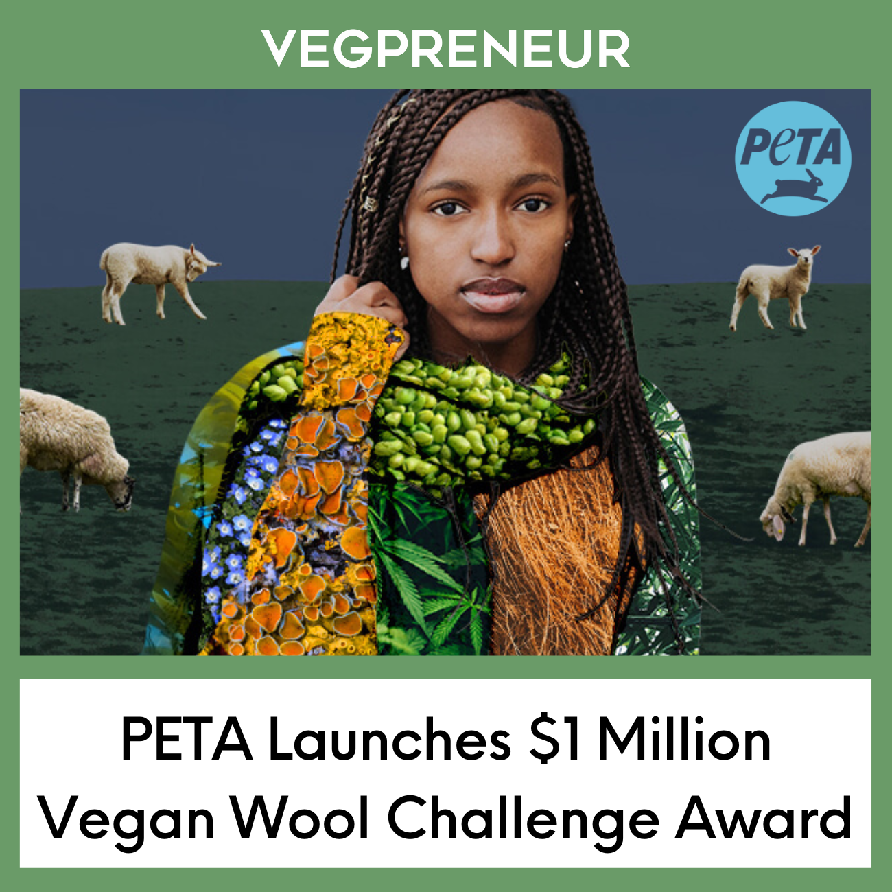 PETA Launches $1 Million Vegan Wool Challenge Award