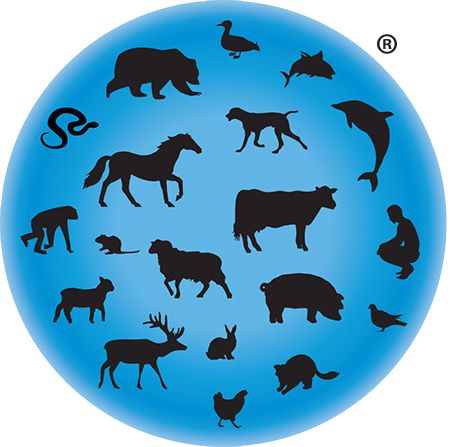 Fundraising Specialist at Our Planet. Theirs Too.