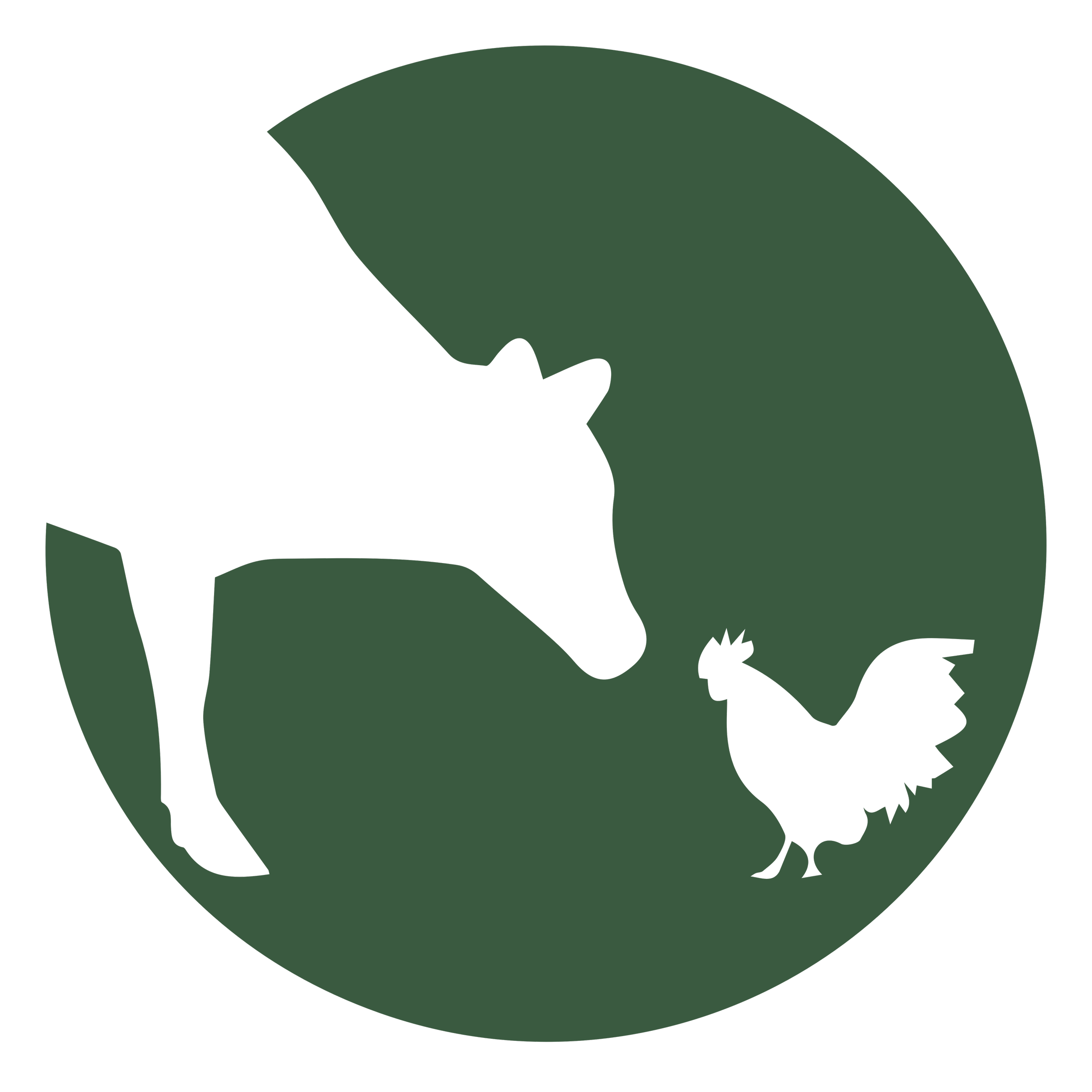 Senior Director, Brand &amp; Content at Farm Sanctuary