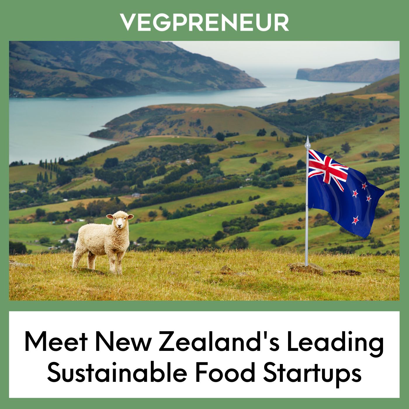 Meet New Zealand's Leading Sustainable Food Startups