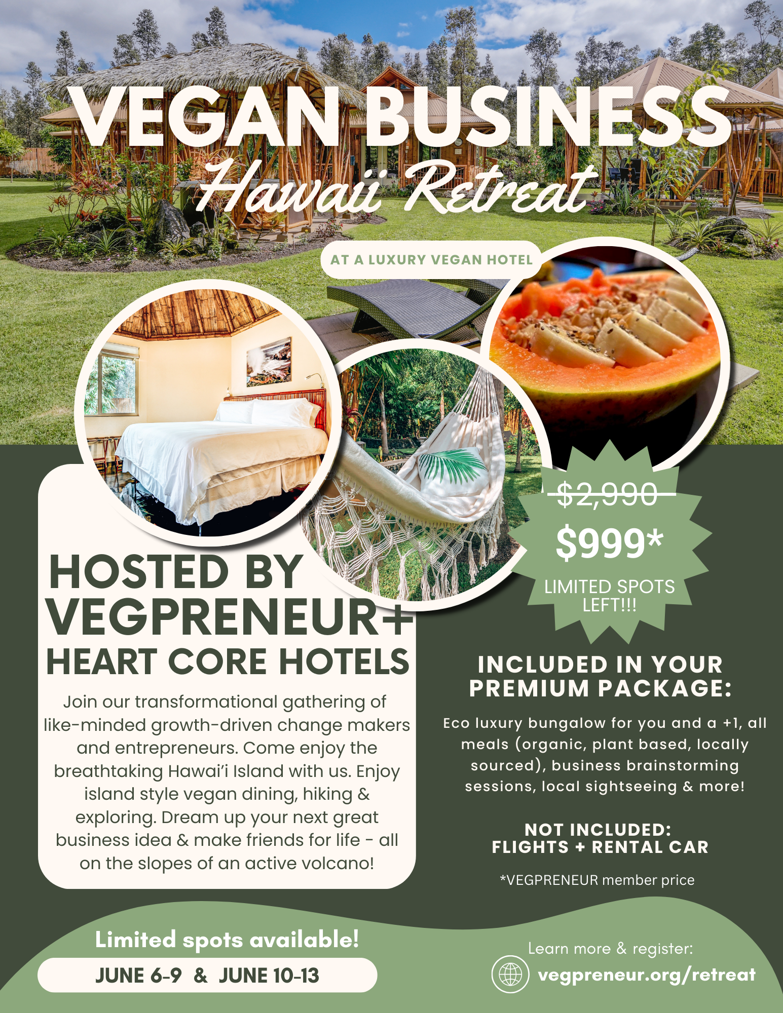 Announcing the Vegan Business Retreat 