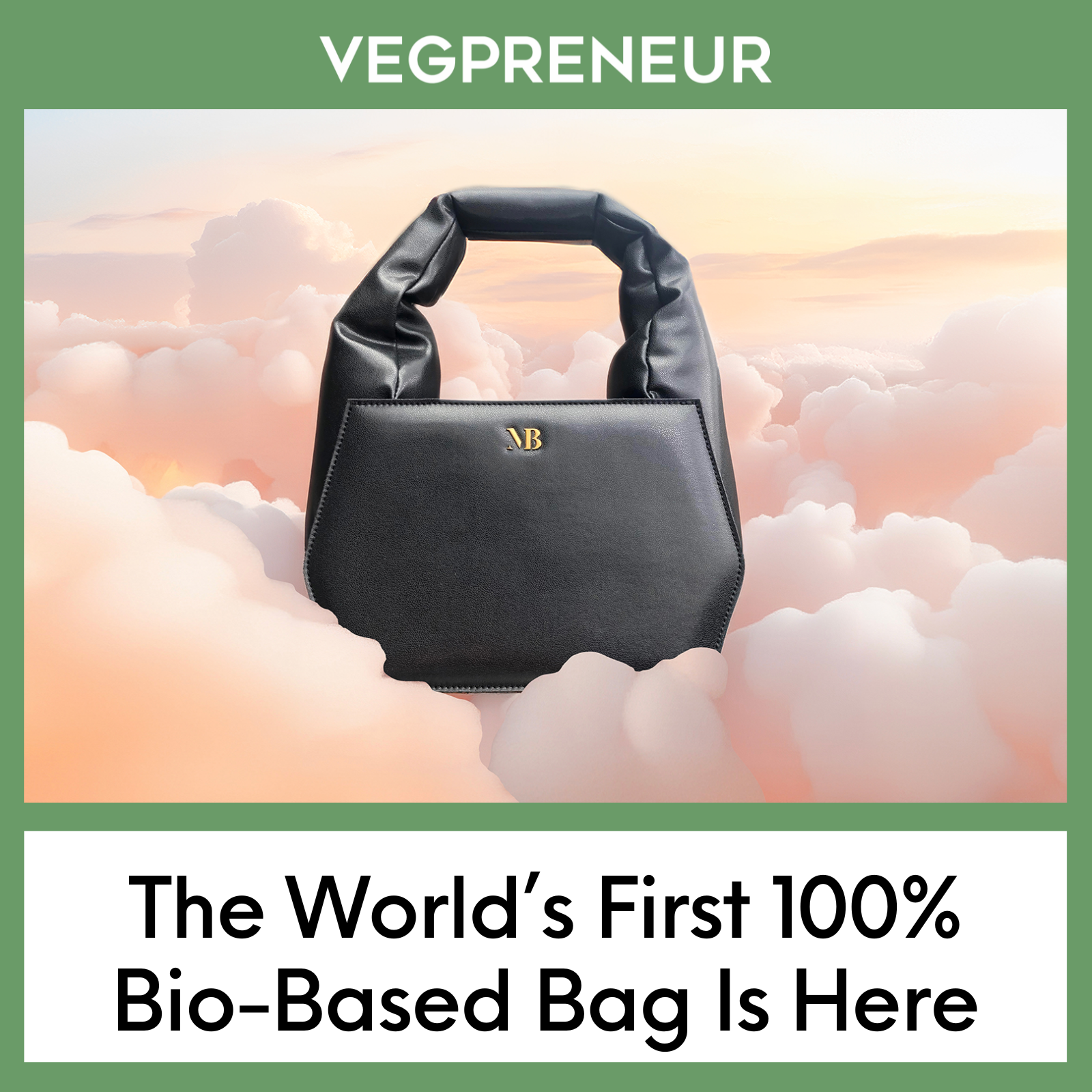 The World’s First 100% Bio-Based Bag Is Here