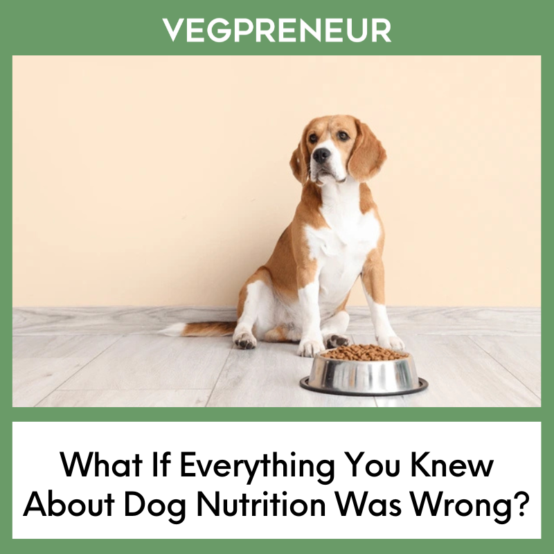 What If Everything You Knew About Dog Nutrition Was Wrong?