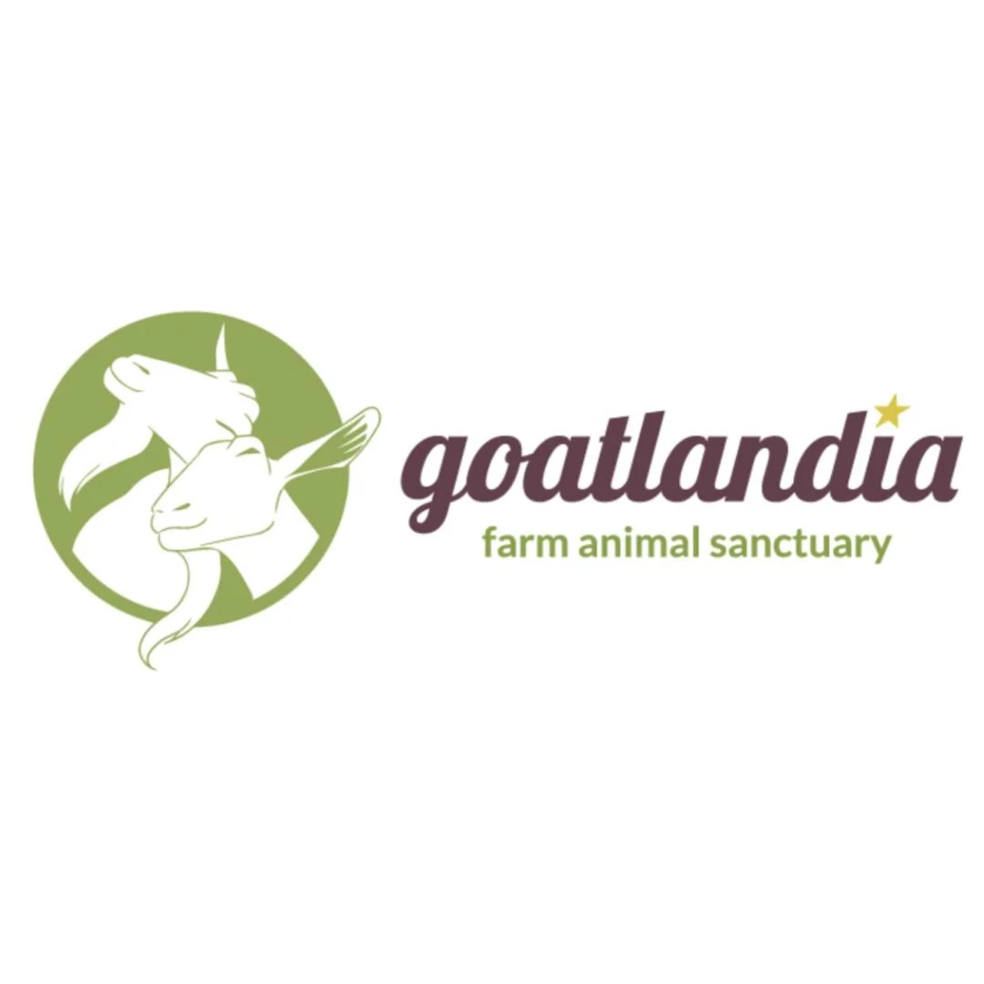 Animal Caregiver at Goatlandia Farm Animal Sanctuary