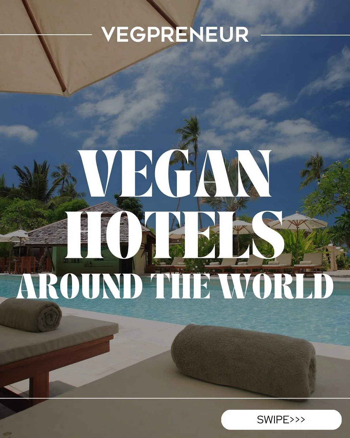 Vegan hotels are taking over the world and here are some of our favorites ☀️🏝️

Which are your favorite? 

#hotels #veganhotels #vegpreneur #veganbusiness #vegantravel #vegansofig