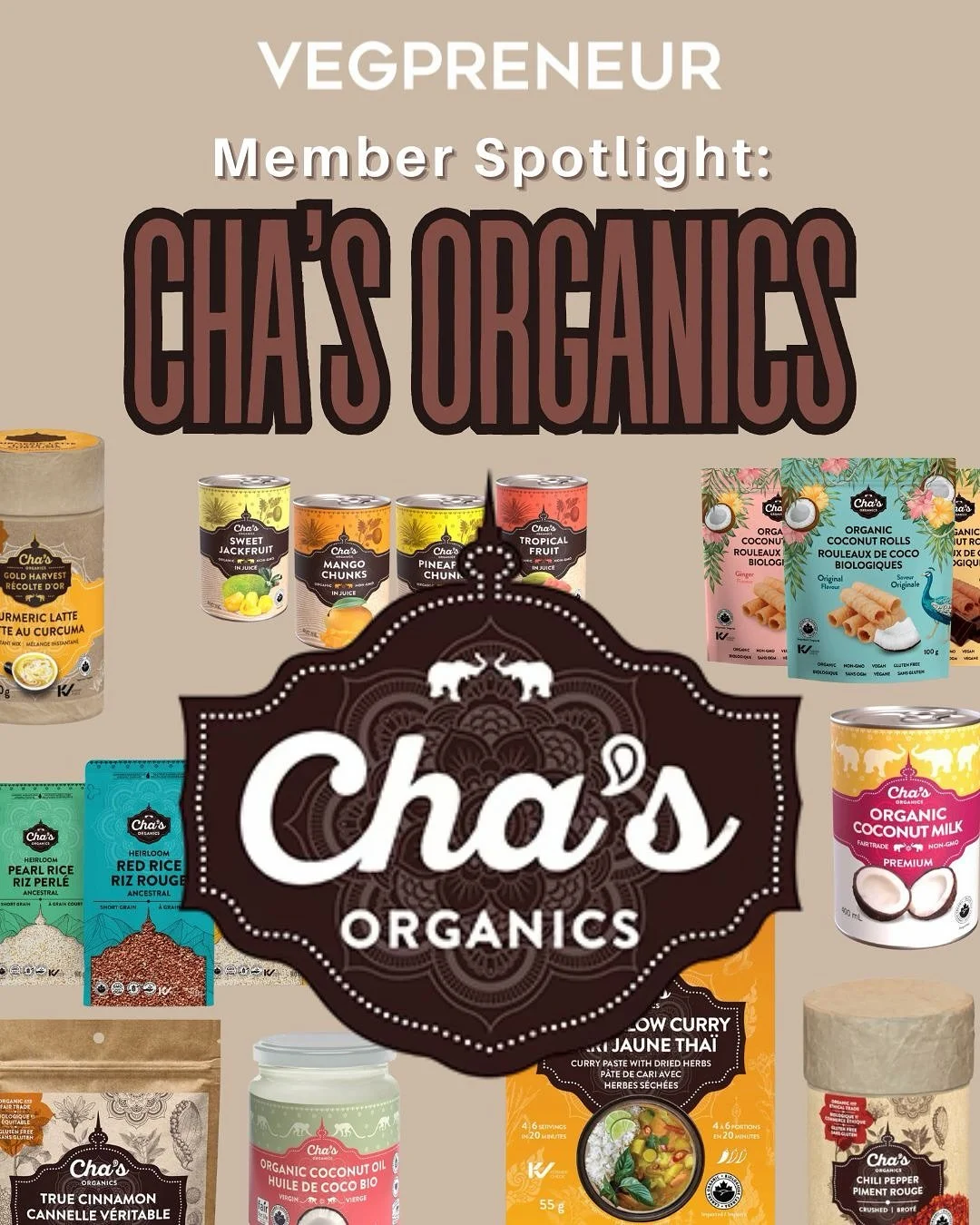 Meet Cha&rsquo;s Organics, one of our incredible VEGPRENEUR members creating flavorful change with ethically sourced, organic ingredients. 🌿

#VEGPRENEUR #VeganBrands #Organic #plantbased