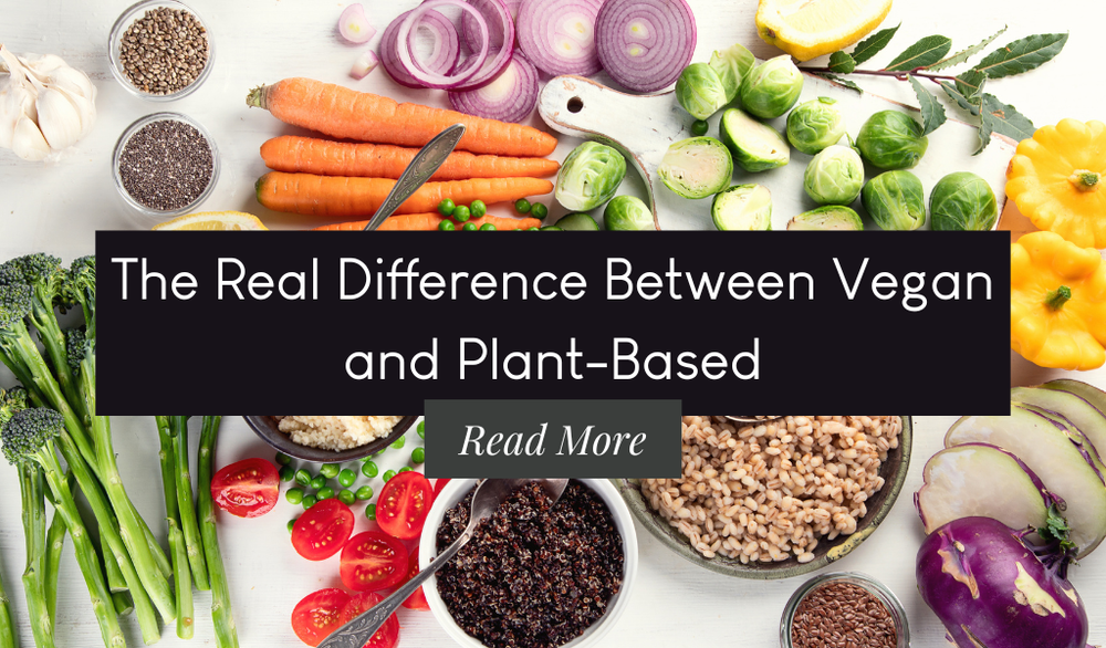 VEGPRENEUR Blog: The Vegan and Sustainable Business Blog  VEGPRENEUR