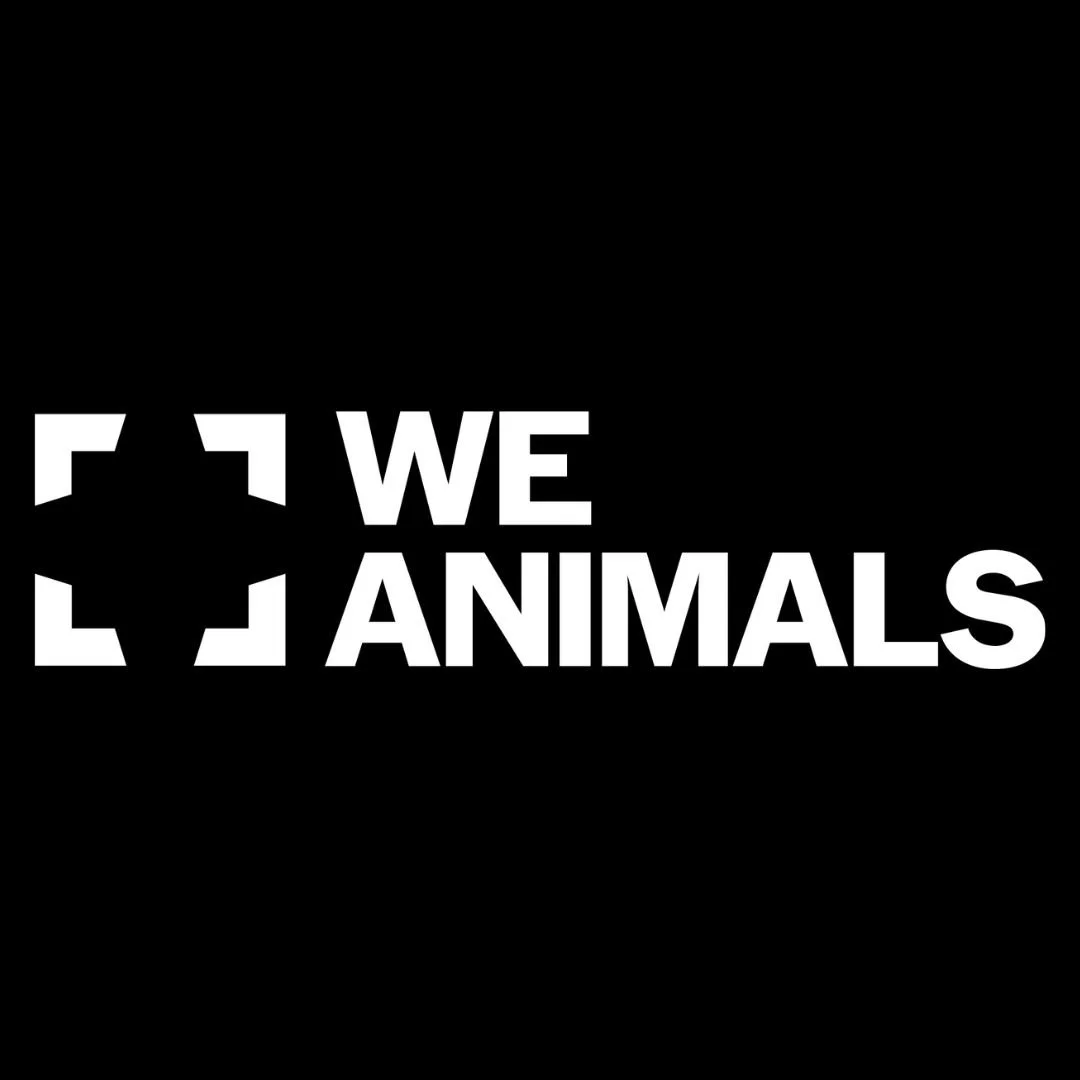 Administrative Assistant at We Animals