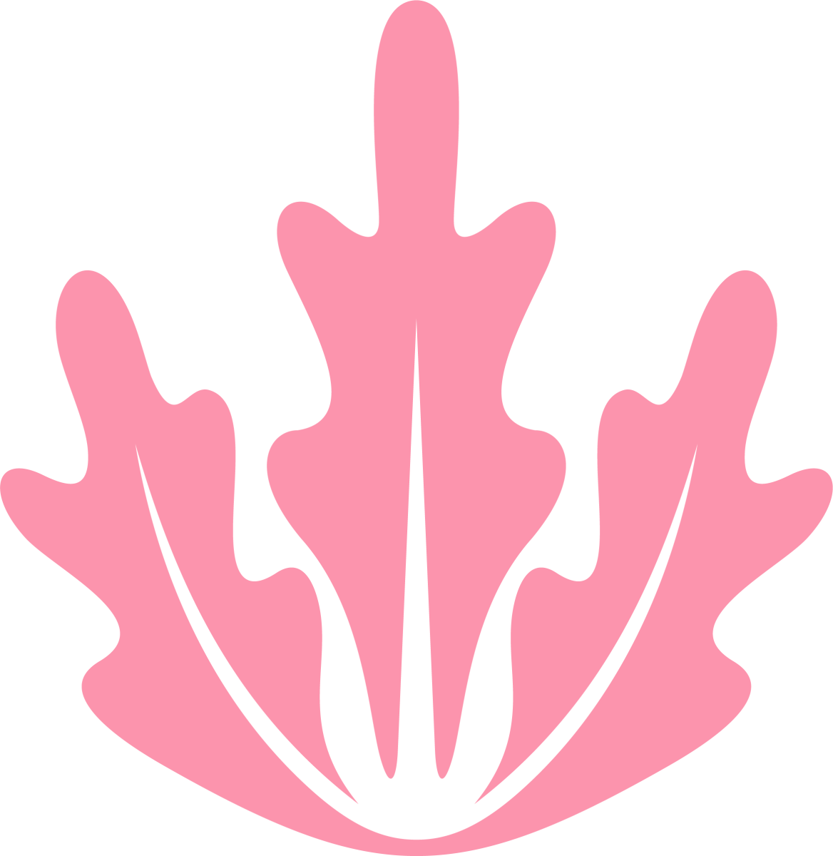 Chef at Pink Lettuce Chester