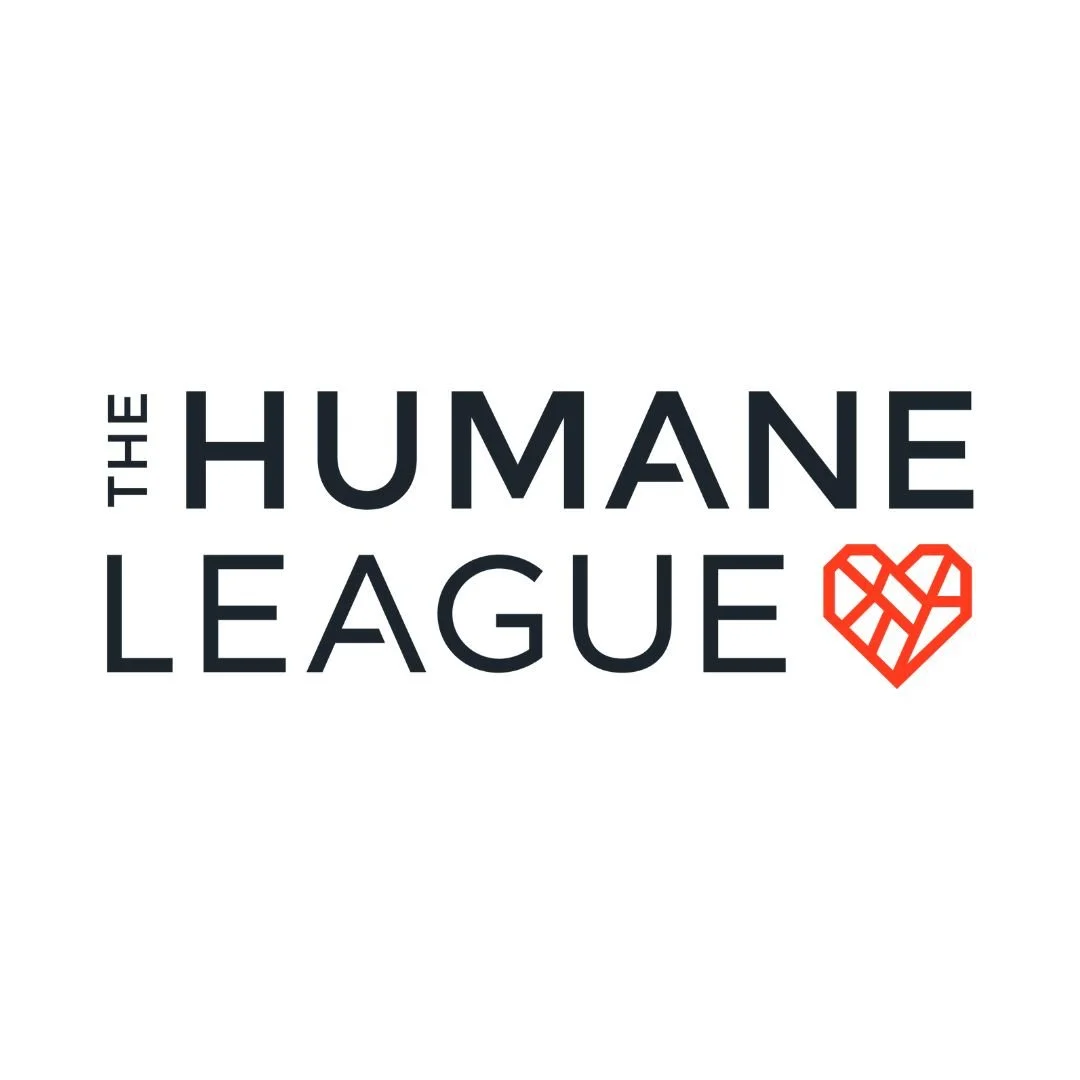 Associate Director of Campaigns at The Humane League