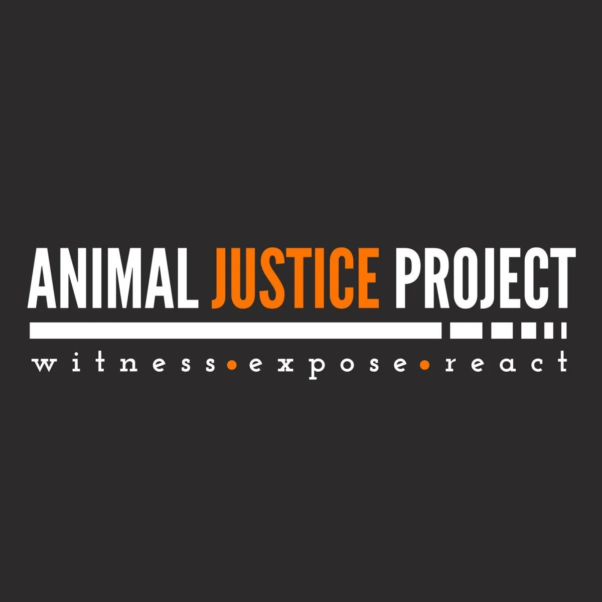 Senior Campaigner at Animal Justice Project