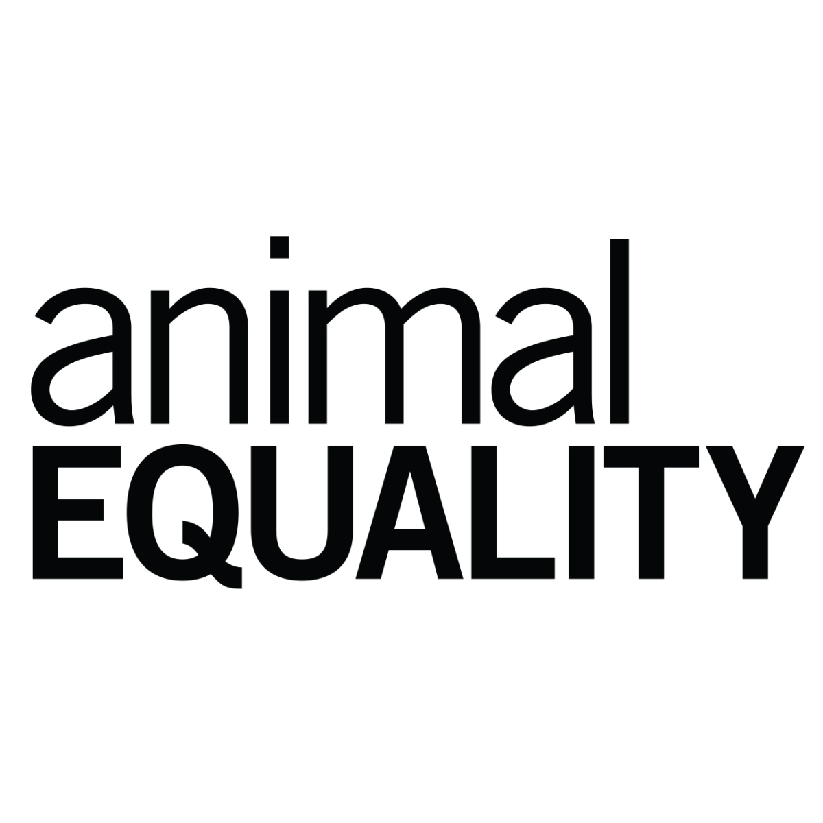Salesforce Administrator &amp; Developer at Animal Equality