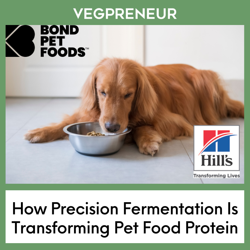 Precision Fermentation Is About To Disrupt Pet Food
