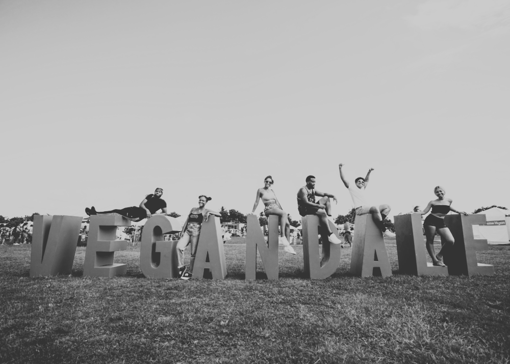 Vegandale Is Over. Team Launches New Festival